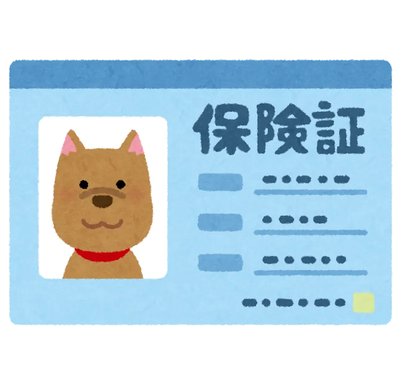 🐾【意外？】ペット保険の加入率、犬より猫の方が低いってホント？