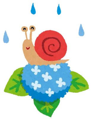 梅雨入り前に☔やっておきたい火災保険チェック